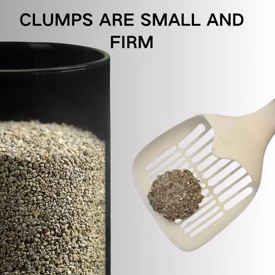 Clean Cat Brand con arena para gatos/arena para gatos de bentonita aglutinante blanca