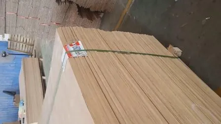 Top Venta 100% Natural Eco