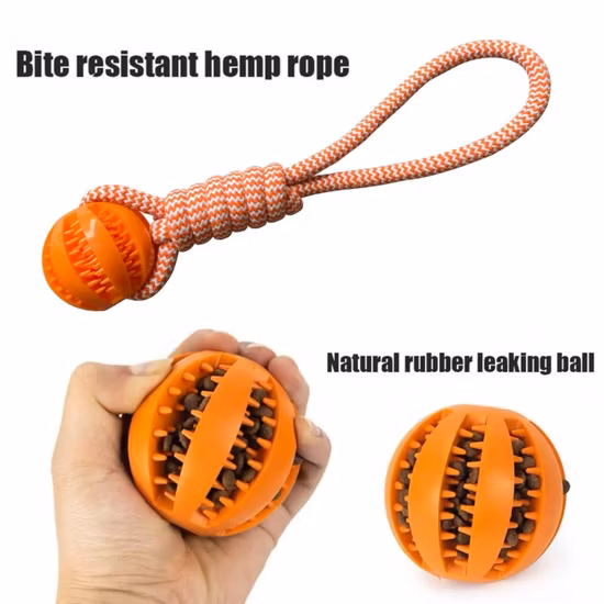 Juguete masticable de goma suave para mascotas, cepillo de dientes Dental, juguetes interactivos de limpieza, pelota de perro de goma, juguete masticable